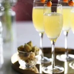HADELAND GLASSVERK AS Champagneglass-FINN CHAMPAGNEGLASS 24 CL Klar