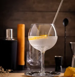 HADELAND GLASSVERK AS Cocktailglass-NEW YORK GIN & TONIC GLASS 70CL 2PK