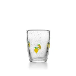 HADELAND GLASSVERK Vannglass-SITRON GLASS 40 CL 4 PK